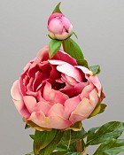 Peony with Bud 23" Fuchsia