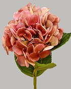 Hydrangea 25" Burgundy