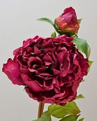 Peony Open with Bud 19.5" Red