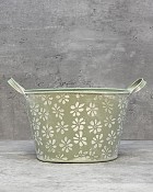 Oblong Daisy Container - Green 5.5"H