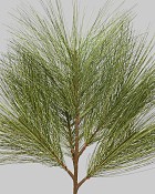 Long Needle Pine Spray 24" Green