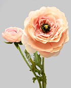 Ranunculus 19.5" Light Mauve