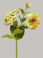 Zinnia 26" Green
