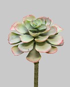 Succulent 9" Green/Pink