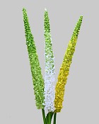 Veronica Bundle 44" Green/Yellow/White