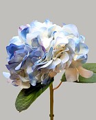 Hydrangea 20" Cream/Blue