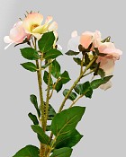 Trailing Rose Spray 23" Peach