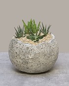 Moonstone Planter