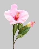 Hibiscus 26" Pink