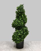 Boxwood Spiral Tree 33"H