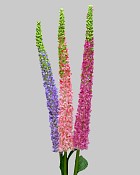 Veronica Bundle 44" Pink/Purple