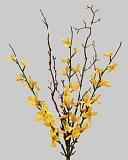 Forsythia Twig Spray 25" Yellow