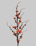 Peach Blossom 30" Orange/Red