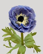 Anemone 17.5" Blue