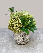 Bark & Blossom - White