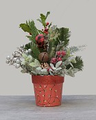 Festive Forest - Red