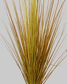 Onion Grass Bush 40" Brown/Green