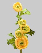 Ranunculus Multi Flower 21.5" Yellow