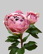 Peony 27" Deep Lavender