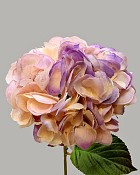 Hydrangea 29" Purple/Cream