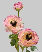 Ranunculus 18.5" Mauve/White