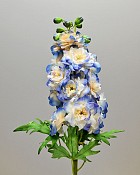 Delphinium 24" Blue/Cream