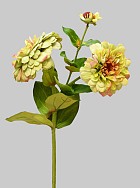 Zinnia 26" Green