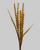 Rye Grass Spray 30" Gold