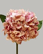 Hydrangea 18" Pink/Cream