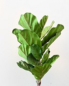 Fiddle Leaf Plant Tree 40" Green