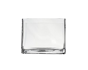 Rectangular Clear Glass Vase 5.5"H