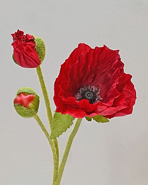 Poppy 22.5&quot; Red