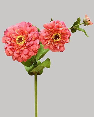 Zinnia 26&quot; Red