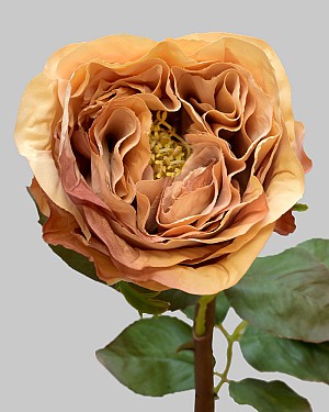 Rose Dutchess Bud 21.5&quot; Brown Linen