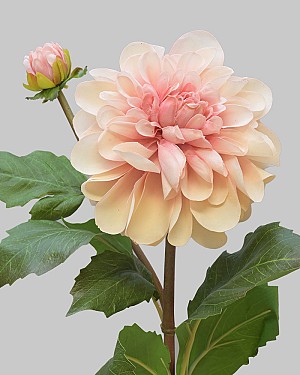 Dahlia 25&quot; Light Mauve