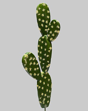 Soft Bunny Ear Cactus 13.5&quot; Green