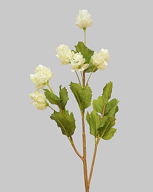 Hops 26.5&quot; White