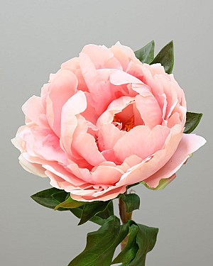 Peony 20.5&quot; Salmon