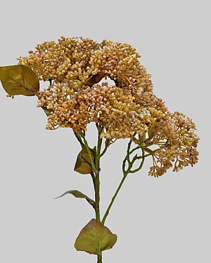 Sedum Spray 22&quot; Golden