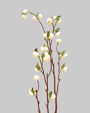 Blueberry 25&quot; White