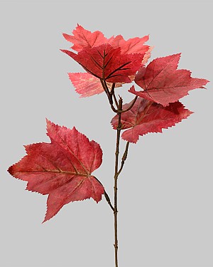 Maple Leaf Pick 14&quot; Red