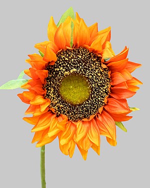 Sunflower 30&quot; Golden Orange