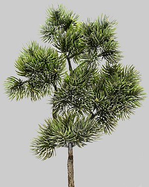 Noble Fir Spray 17&quot; Green/White