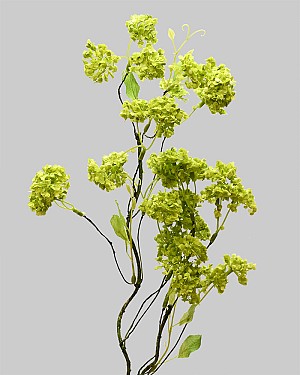 Wild Viburnum Branch 29&quot; Green