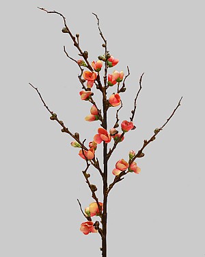 Peach Blossom 30&quot; Orange
