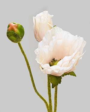 Poppy 22.5" Dusty Peach