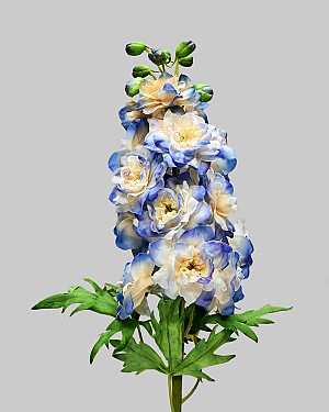 Delphinium 24" Blue/Cream