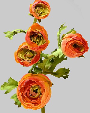 Ranunculus Multi Flower 21.5" Orange
