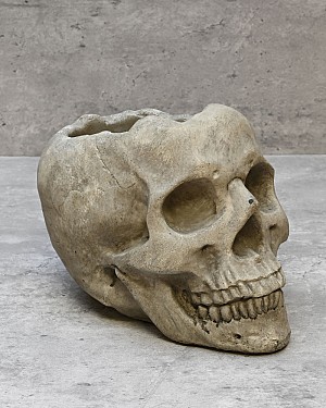 Halloween Skull Container 6&quot;H