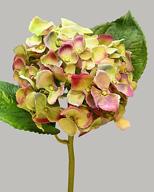 Hydrangea 18&quot; Green/Purple